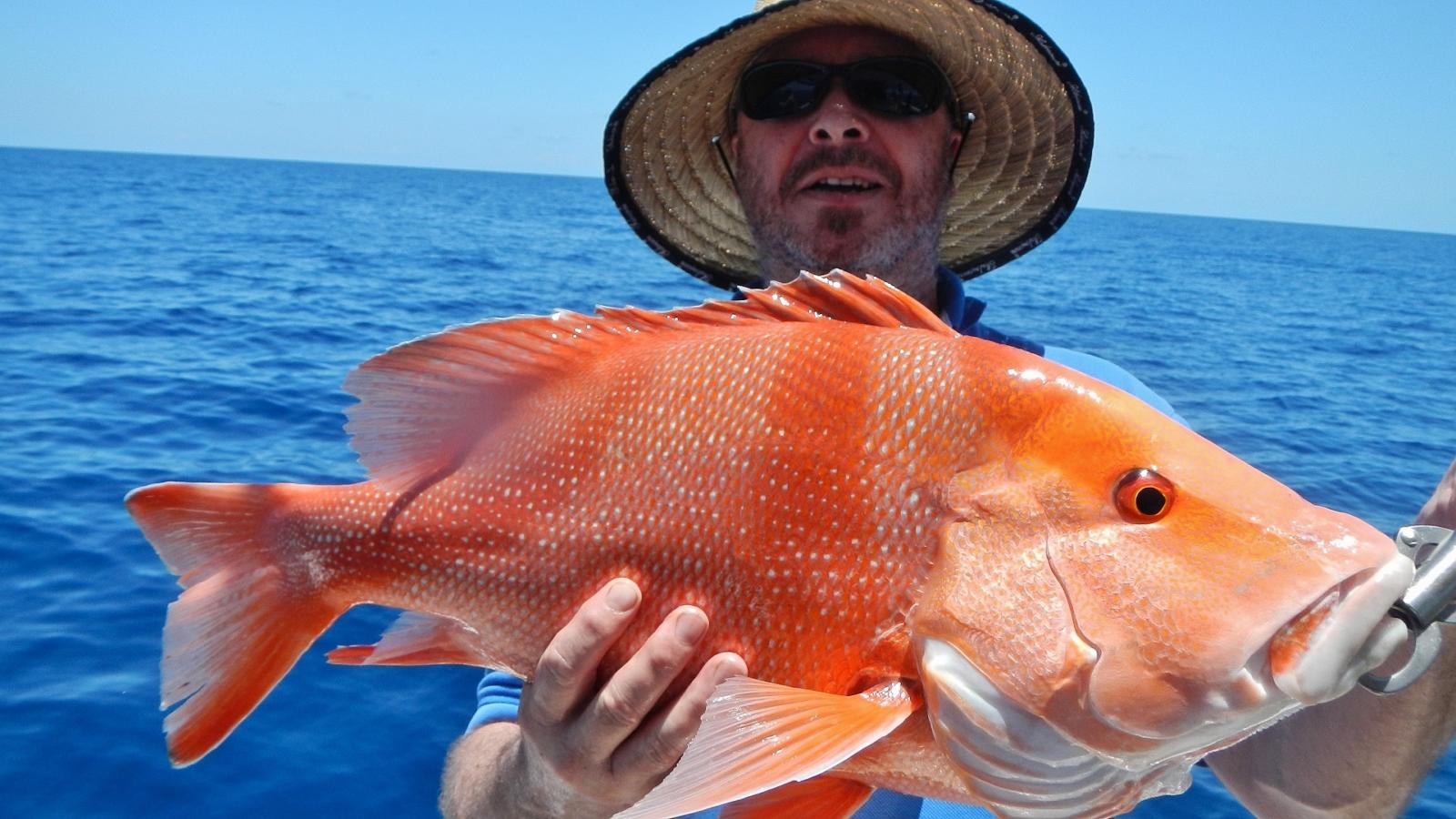 red emperor